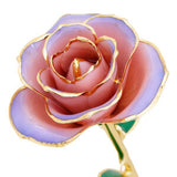 Blushed Lilac 24K Gold Dipped Rose - Wall Drug Store