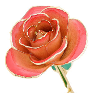 Blushed Red 24K Gold Dipped Rose - Wall Drug Store