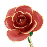 Evening Coral 24K Gold Dipped Rose - Wall Drug Store