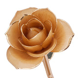 Sweet Cream 24K Gold Dipped Rose - Wall Drug Store