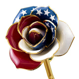 American Glory 24k Gold Dipped Rose - Wall Drug Store