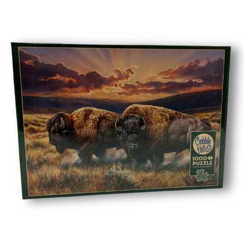 Dusty Plains Puzzle - Wall Drug Store