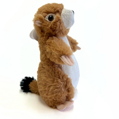 Small Plush Prairie Dog - Wall Drug Store