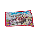 50 States Outline Foil Magnets