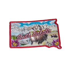 50 States Outline Foil Magnets - Wall Drug Store