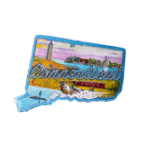 50 States Outline Foil Magnets