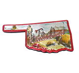 50 States Outline Foil Magnets