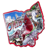50 States Outline Foil Magnets