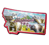 50 States Outline Foil Magnets