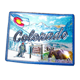 50 States Outline Foil Magnets