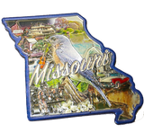 50 States Outline Foil Magnets