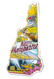 50 States Outline Foil Magnets