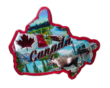 50 States Outline Foil Magnets