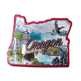 50 States Outline Foil Magnets