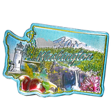 50 States Outline Foil Magnets