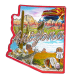 50 States Outline Foil Magnets