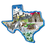 50 States Outline Foil Magnets