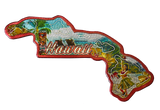 50 States Outline Foil Magnets