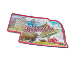 50 States Outline Foil Magnets