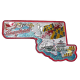 50 States Outline Foil Magnets
