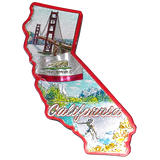50 States Outline Foil Magnets