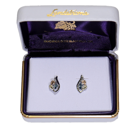 Landstrom's Black Hills Gold & Silver Birthstone Post Earrings - December