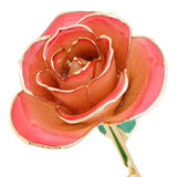 Blushed Red 24K Gold Dipped Rose