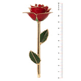 Evening Coral 24K Gold Dipped Rose - Wall Drug Store