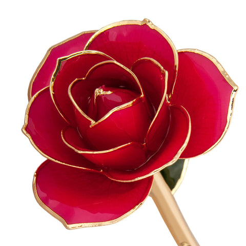 Luscious Pink 24K Gold Dipped Rose - Wall Drug Store