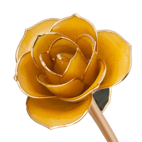 Sunshine Yellow 24K Gold Dipped Rose - Wall Drug Store