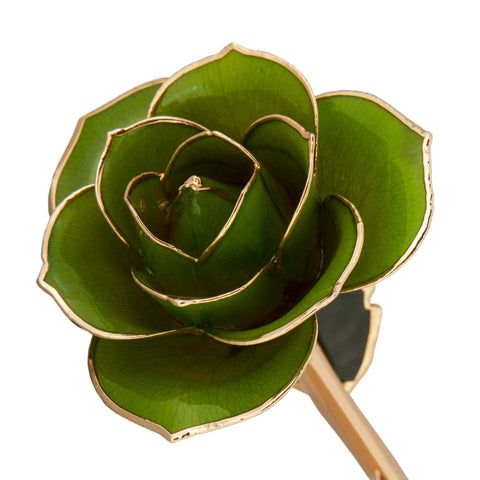 Mossy Green 24K Gold Dipped Rose - Wall Drug Store