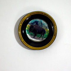 South Dakota Buffalo Magnet - Wall Drug Store