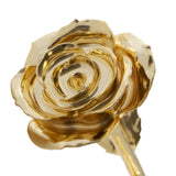 Glamorous Gold 24k Gold Dipped Rose - Wall Drug Store