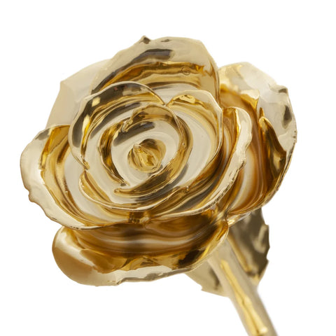 Glamorous Gold 24k Gold Dipped Rose - Wall Drug Store