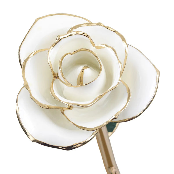 Blissful White Gold Dipped Rose - Wall Drug Store